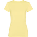CAMISETA FIYI T/S AMARILLO SWEET LAVADO